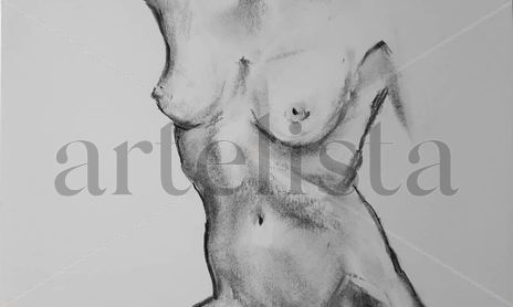 Desnudos