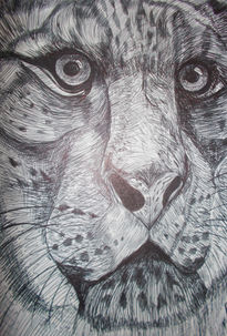 Retrato de tigre