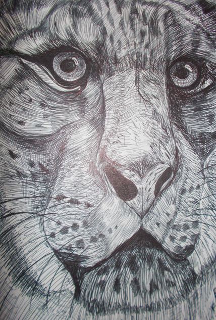 Retrato de tigre