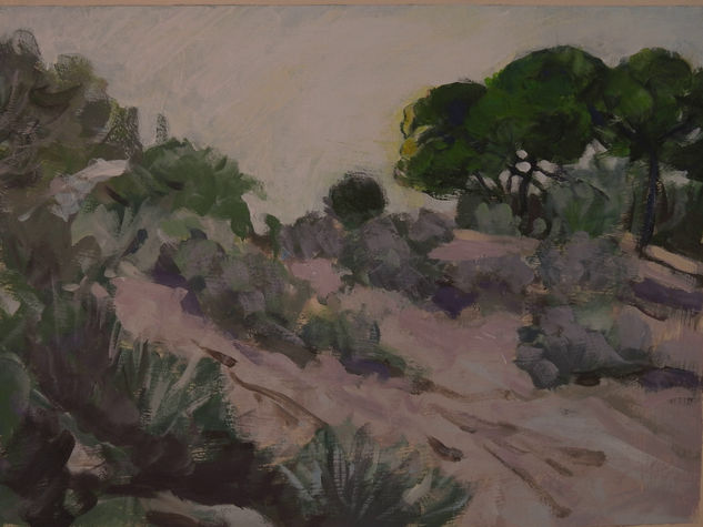 Amanecer en las dunas Acrylic Paper Landscaping