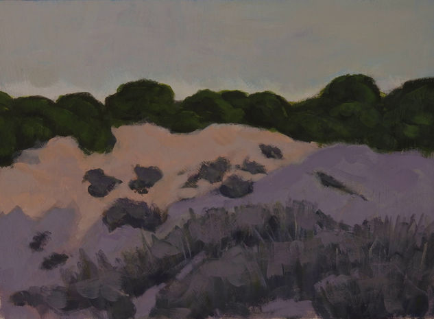 Atardecer en las dunas Acrylic Paper Landscaping