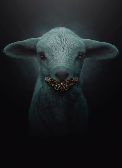 The Silence of the...
