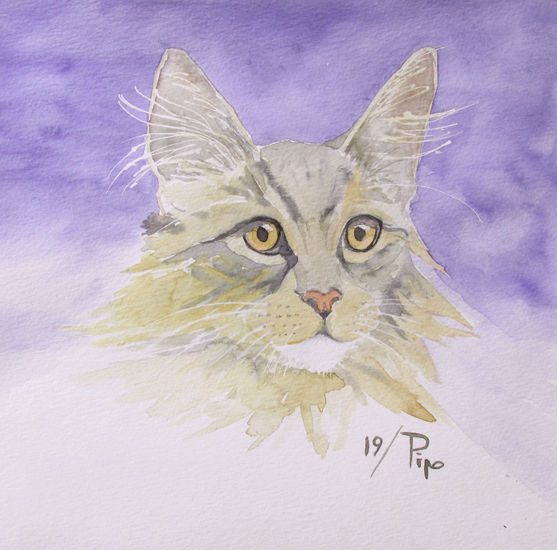 retrato de gato Watercolour Paper Animals