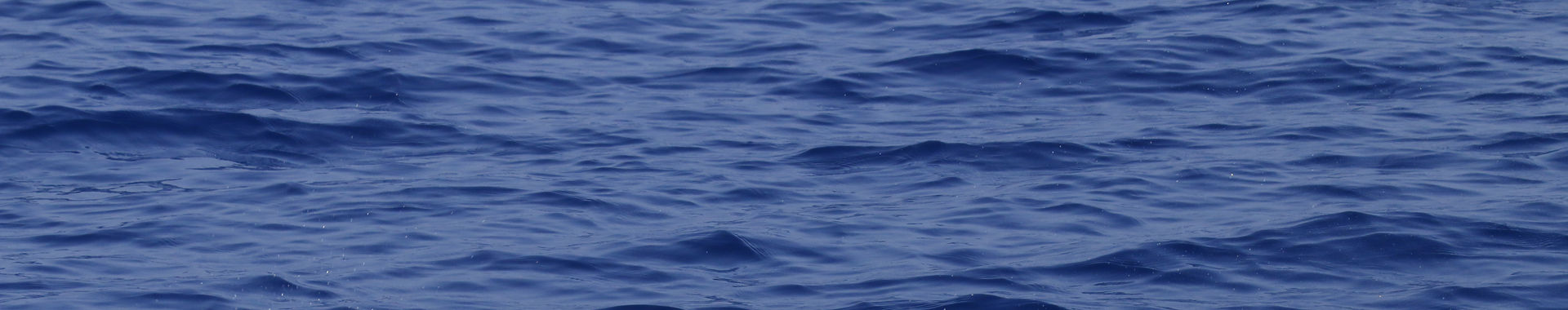 Imagen de portada