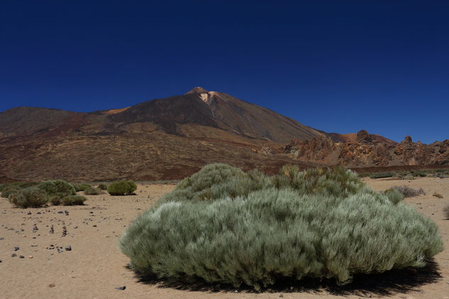 Pico Teide Nature Color (Digital)