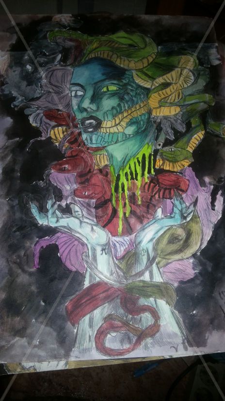 El destino de medusa