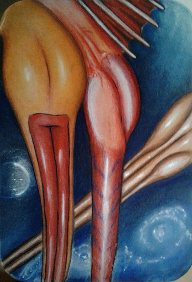asomados al espacio