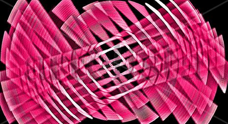EB67-Pink Rose