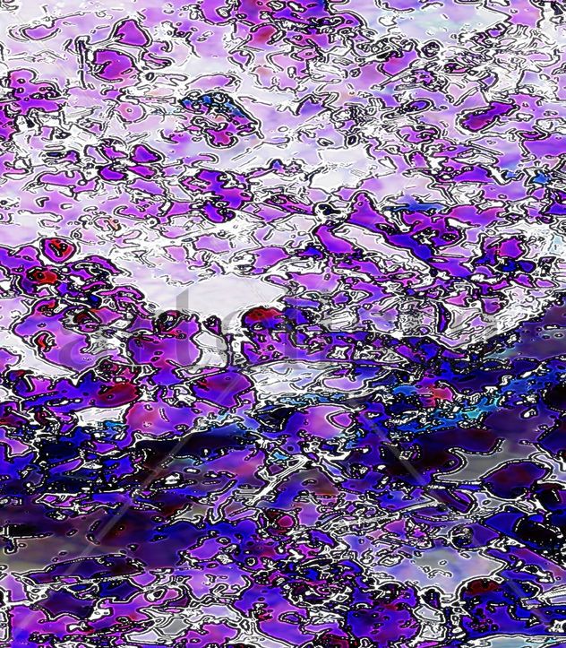 EB67-Flores sobre el mar.