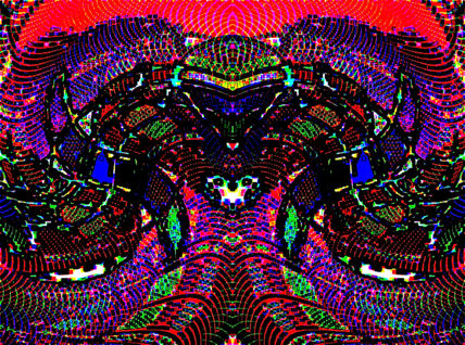 EB67-Niño mono rey