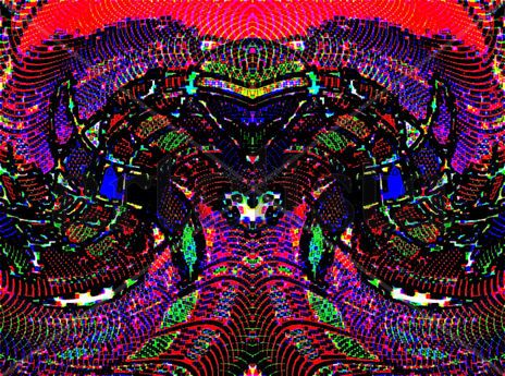 EB67-Niño mono rey