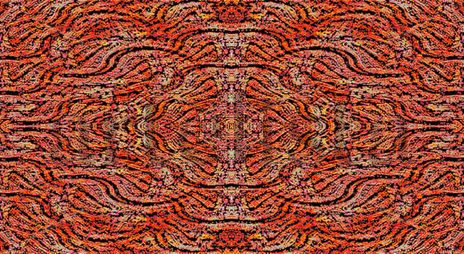 EB67-Tapete-40