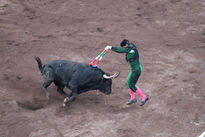 Banderillero y el toro