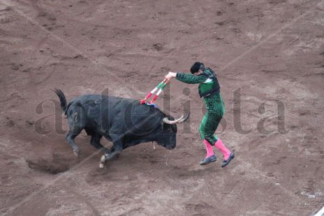 Banderillero y el toro