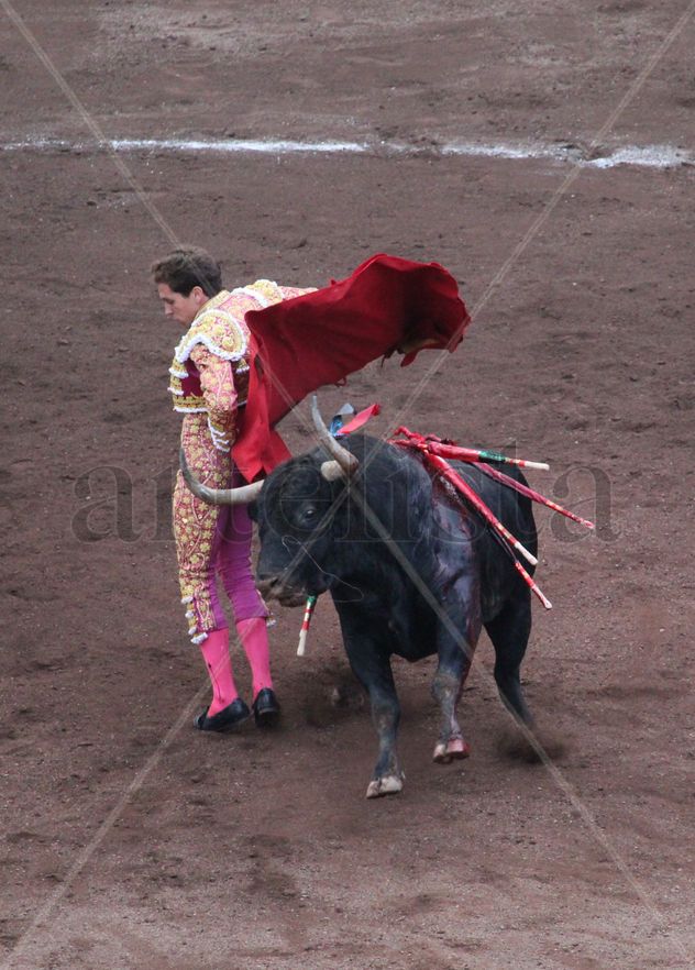 Torero Ginés Marin y su arte