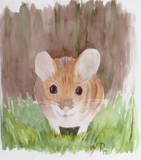 Ratón de campo