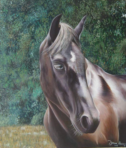 Caballo