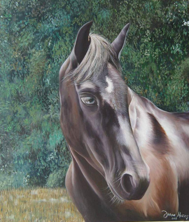 caballo