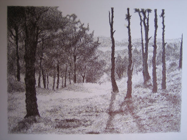 Parque de los cerros