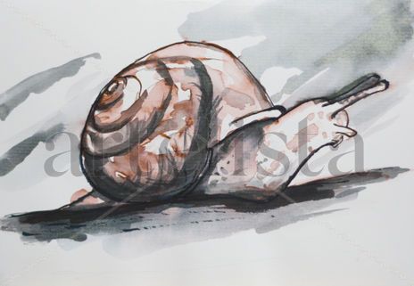Caracol 001