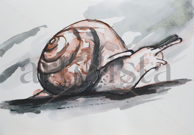 Caracol 001