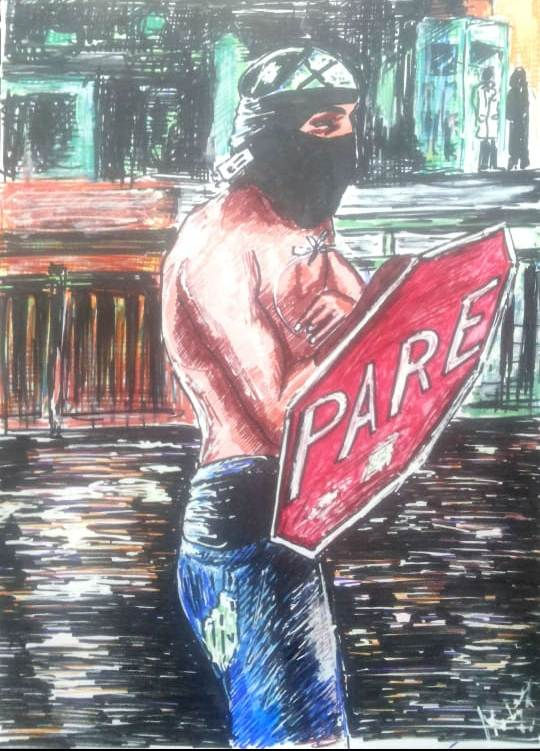 pareman, año 2018, constitución, chile.