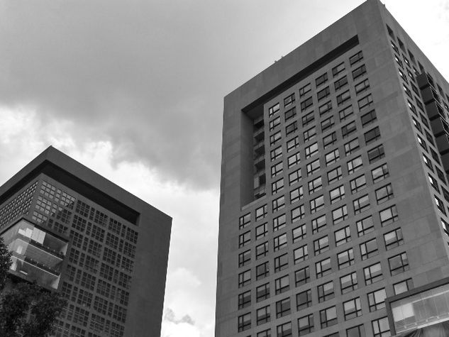 Los edificios del Centro Arquitectura e interiorismo Blanco y Negro (Digital)