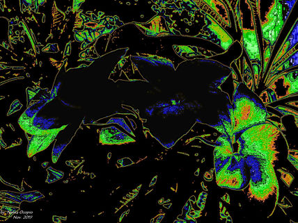 EB67-Iridiscencia