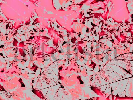 EB67-Pink time