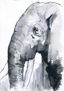 Elefante 001