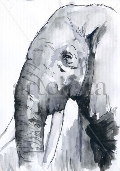 Elefante 001 Tinta