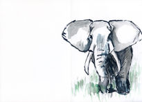 Elefante 002