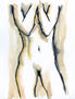Cuerpo 001