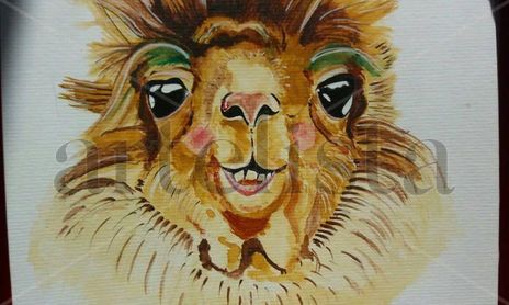 Animales