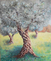 Olive tree