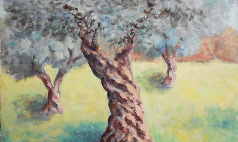 Olive trees