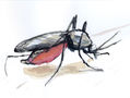 Mosquito 001