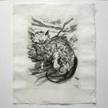 Gatos thumbnail 1