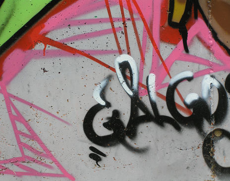 Galgo