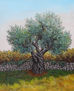 Olive tree