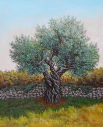 Olive tree