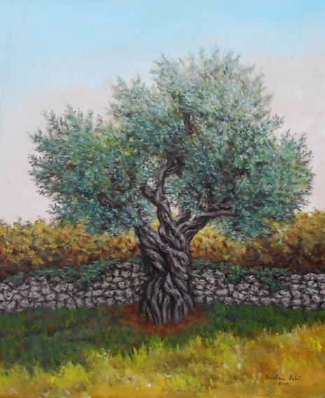 Olive tree