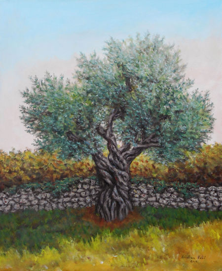 Olive tree Acrylic Canvas Landscaping