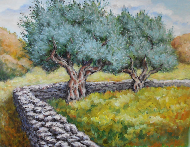 Olive trees Acrylic Canvas Landscaping