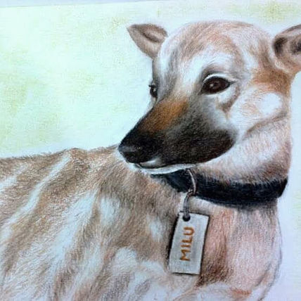Milu