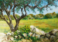 Olive tree