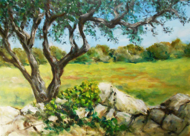 Olive tree Acrylic Canvas Landscaping