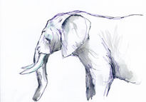 Elefante 003