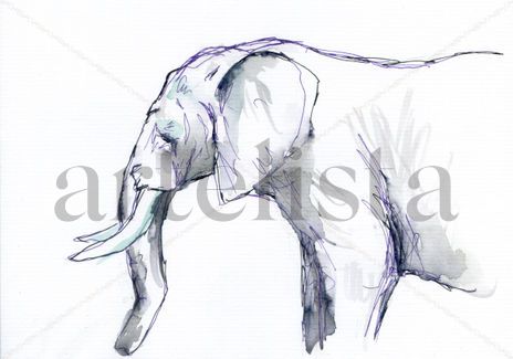 Elefante 003