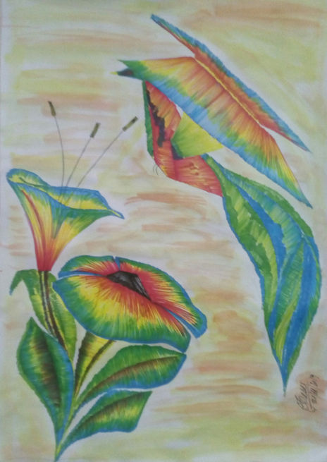 Colibrí
